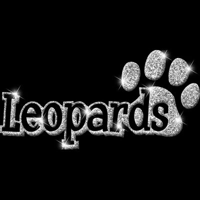 GLT17 SILVER GLITTER Thumbnail